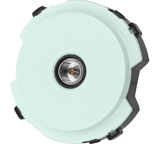 Изображение товара TV розетка TDM ELECTRIC проходная фисташковая, "байкал" SQ1819-0110