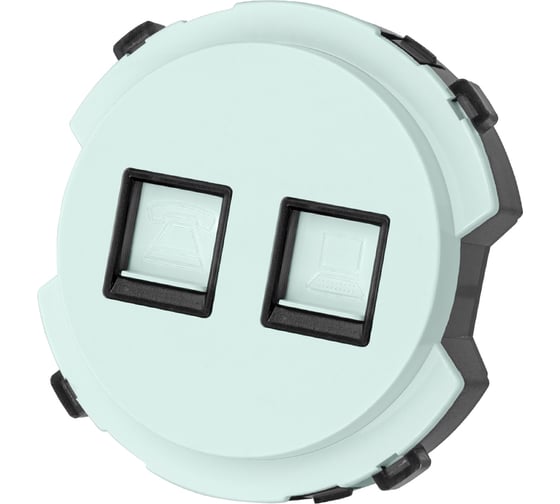 Изображение товара Розетка TDM ELECTRIC телефонная rj11 + компьютерная rj45, фисташковая, "байкал" SQ1819-0117