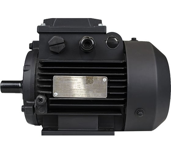 Изображение товара Электродвигатель МЭЗ АИРЕ56В2-У3-220-50IM1081К31Е 1081