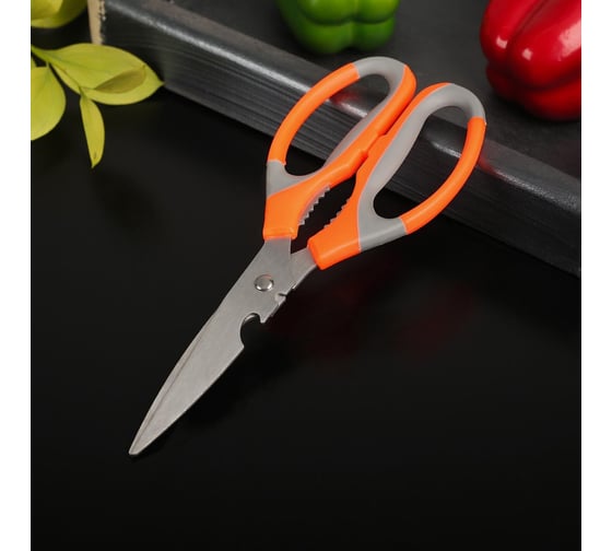 Изображение товара Ножницы кухонные Доляна Драйв 22 см цвет микс 580369