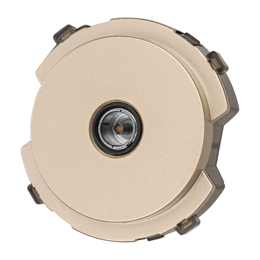 Изображение товара Телевизионная розетка оконечная TDM ELECTRIC серия Байкал шампань SQ1819-0511