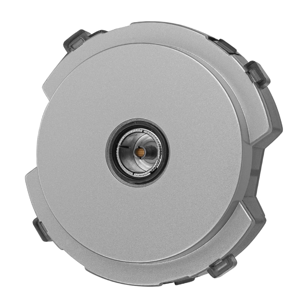 Изображение товара Телевизионная розетка встраиваемая TDM ELECTRIC серия Байкал, платина, 1 пост, IP20