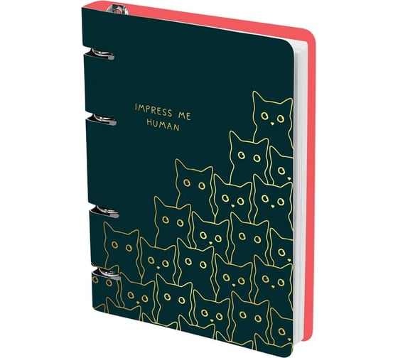 Изображение товара Тетрадь на кольцах MESHU А5, 100 л., Amazing cats, картон MS50665 MS_50665