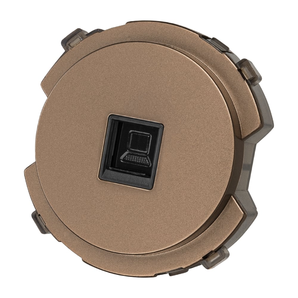 Изображение товара Розетка компьютерная RJ45 бронза серия Байкал TDM ELECTRIC SQ1819-0414