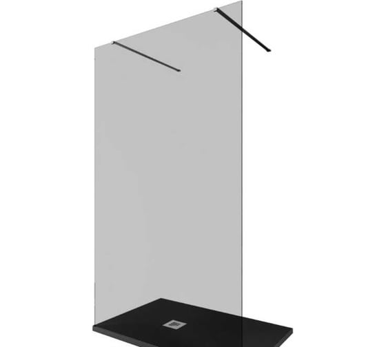 Изображение товара Душевая перегородка ALLEN BRAU INFINITY 2, 8мм, 1200(1190мм) тонированная, серебро браш 3.21044.BA.T 00323836