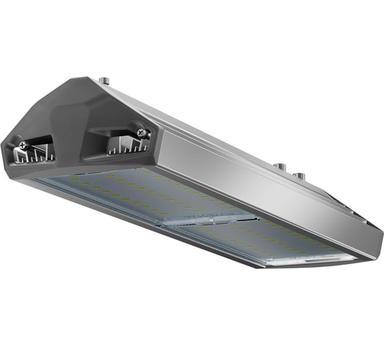 Изображение товара Светодиодный светильник Технологии Света ЕСАУЛ ДКУ 100 750 Д УТ000020651