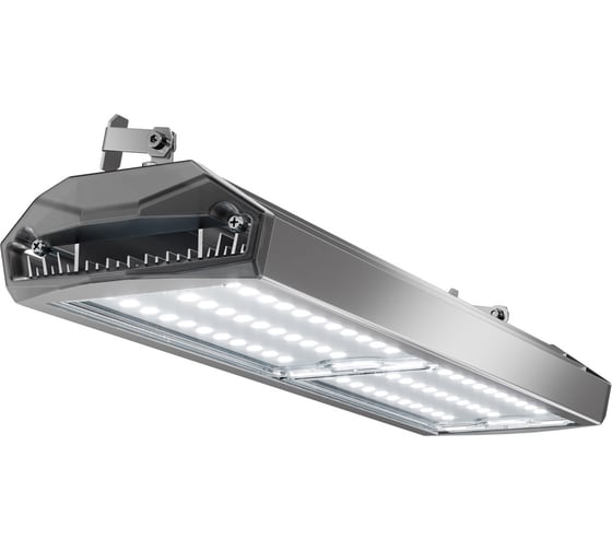 Изображение товара Светодиодный светильник Технологии Света ЕСАУЛ ДСП 100 750 Д УТ000020657