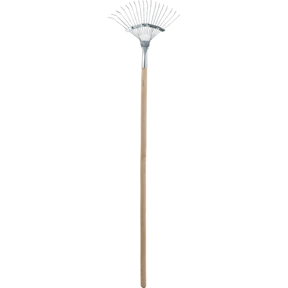 Изображение товара Веерные грабли Gigant проволочные с черенком высшего сорта GWR-1 Изображение товара Веерные грабли Gigant проволочные с черенком высшего сорта GWR-1