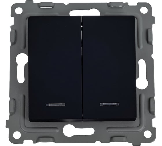 Изображение товара Механизм 2-клавишного выключателя TOKOV ELECTRIC СП Pixel 10А, IP20, с индикатором, карбон TKE-PX-V2I-C14