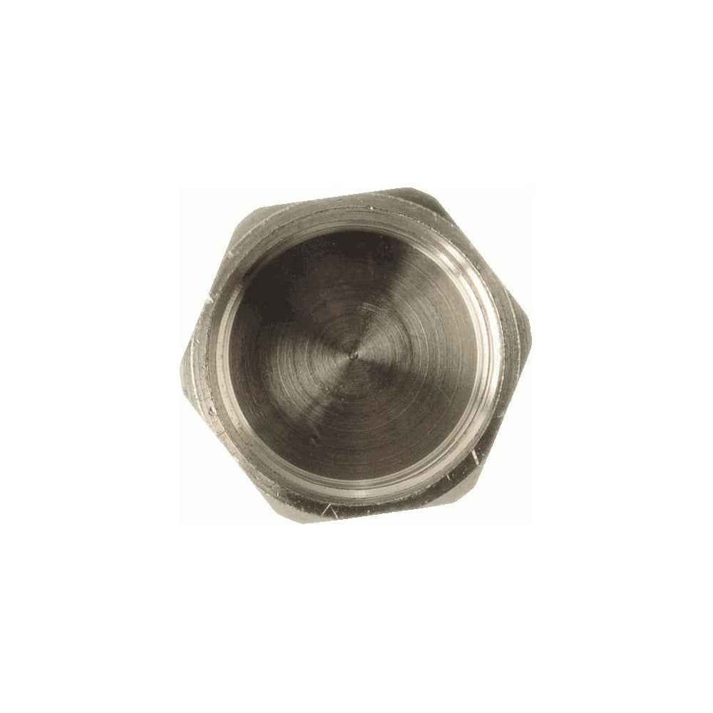 Изображение товара Заглушка на трубу Terma 1" TRm 06037 18975 латунь никель буксоль