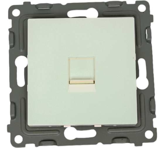 Изображение товара Розетка компьютерная 1-местная TOKOV ELECTRIC СП Pixel RJ45 кат.5E механизм перламутровый TKE-PX-RC1-C04