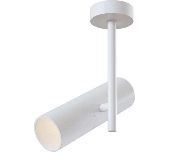 Изображение товара Потолочный светильник MAYTONI Elti C020CL-01W