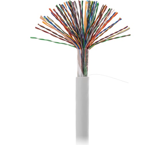Изображение товара Кабель NETLAN U/UTP 50 пар, категория 5, внутренний, PVC, серый, 305м EC-UU050-5-PVC-GY-3