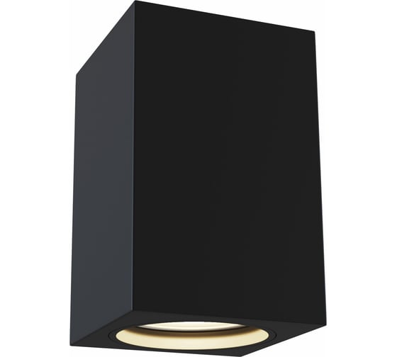 Изображение товара Потолочный светильник MAYTONI Alfa C011CL-01B