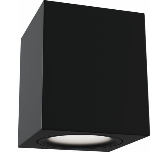 Изображение товара Потолочный светильник MAYTONI Alfa C013CL-01B