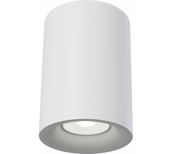 Изображение товара Потолочный светильник MAYTONI Alfa C012CL-01W