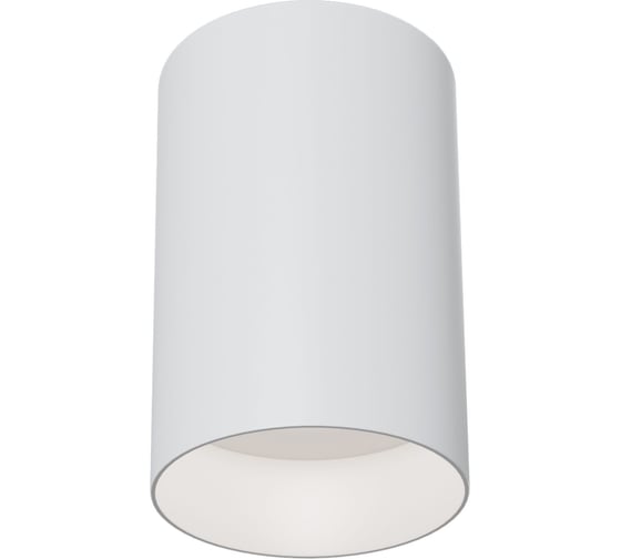 Изображение товара Потолочный светильник MAYTONI Alfa C014CL-01W