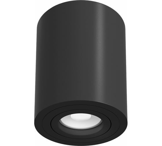 Изображение товара Потолочный светильник MAYTONI Alfa C016CL-01B