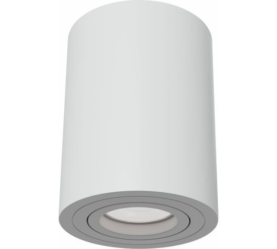 Изображение товара Потолочный светильник MAYTONI Alfa C016CL-01W