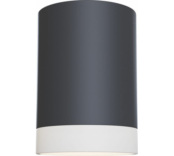 Изображение товара Потолочный светильник MAYTONI Pauline C008CW-01B