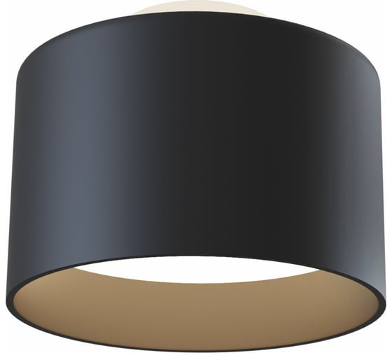 Изображение товара Потолочный светильник MAYTONI Planet C009CW-L16B