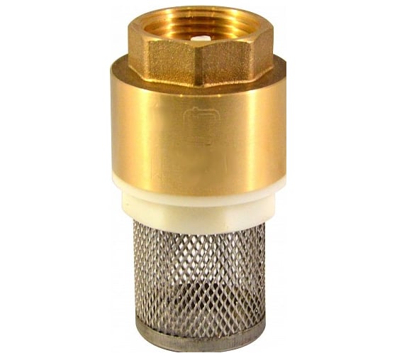 Изображение товара Обратный клапан СТМ с сеткой 1" CBCVF001