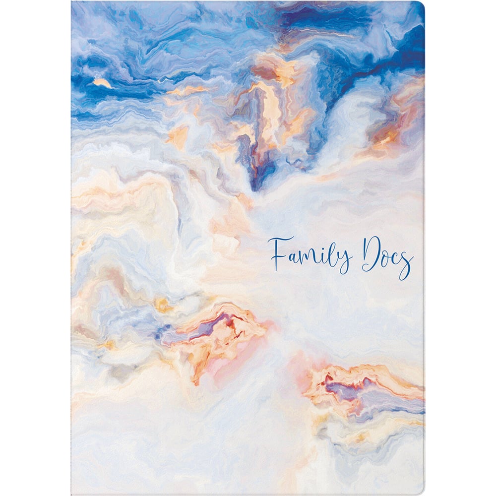 Изображение товара Семейная папка-органайзер Staff Marble 2 A4 для документов яркий цветной принт