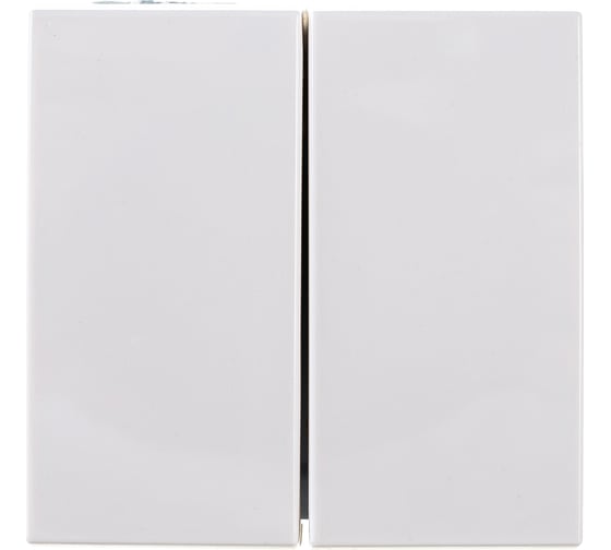 Изображение товара Выключатель IEK ВК1-22-00-П двухклавишный, на 2 модуля, ПРАЙМЕР белый CKK-40D-VD2-K01