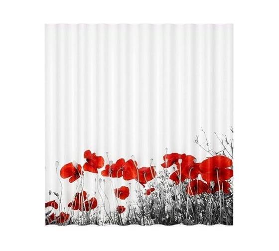 Изображение товара Шторка для ванной WasserKraft Main SC-47101