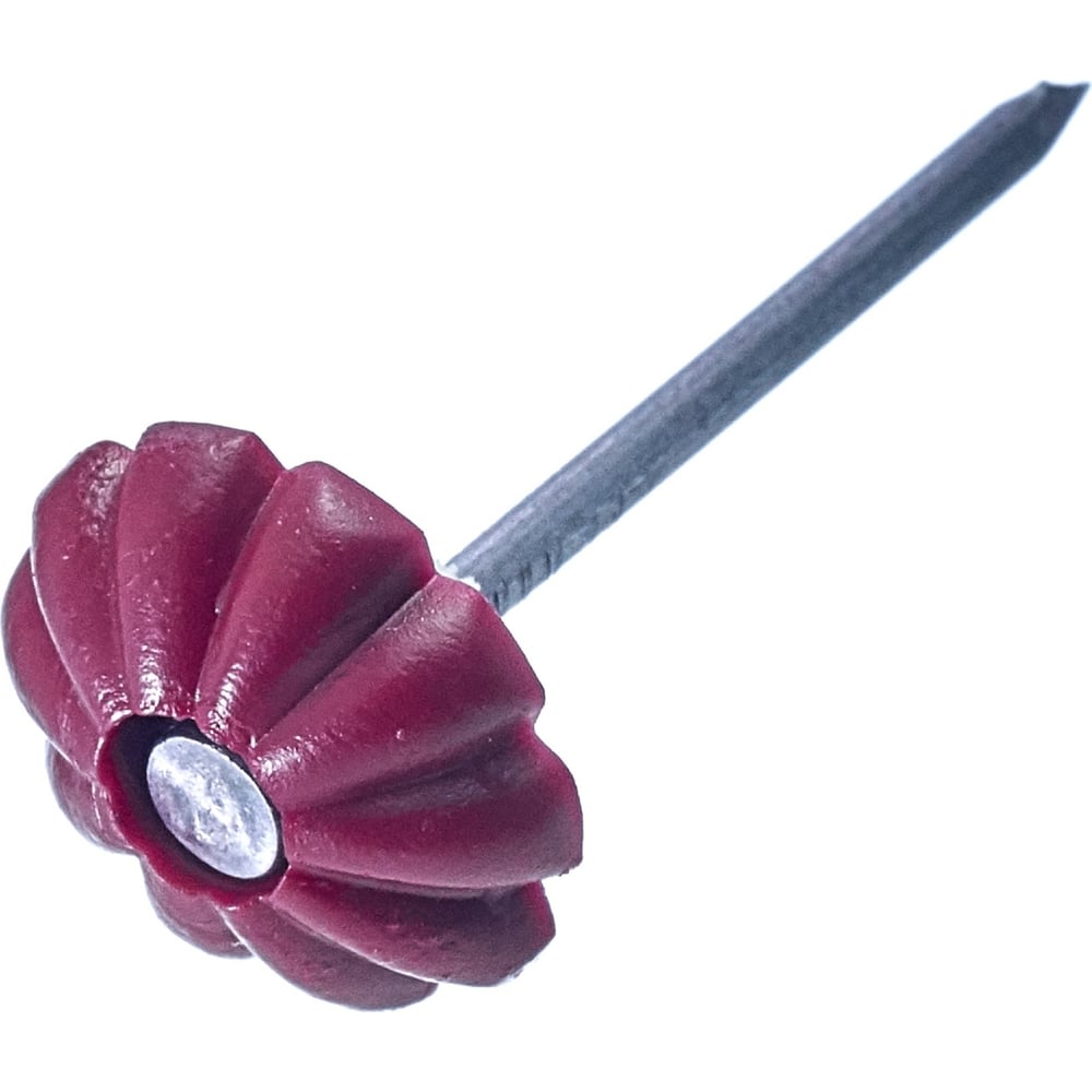 Изображение товара Гвозди Стройметиз 1,4x25 с бордовой шляпкой, 50 шт