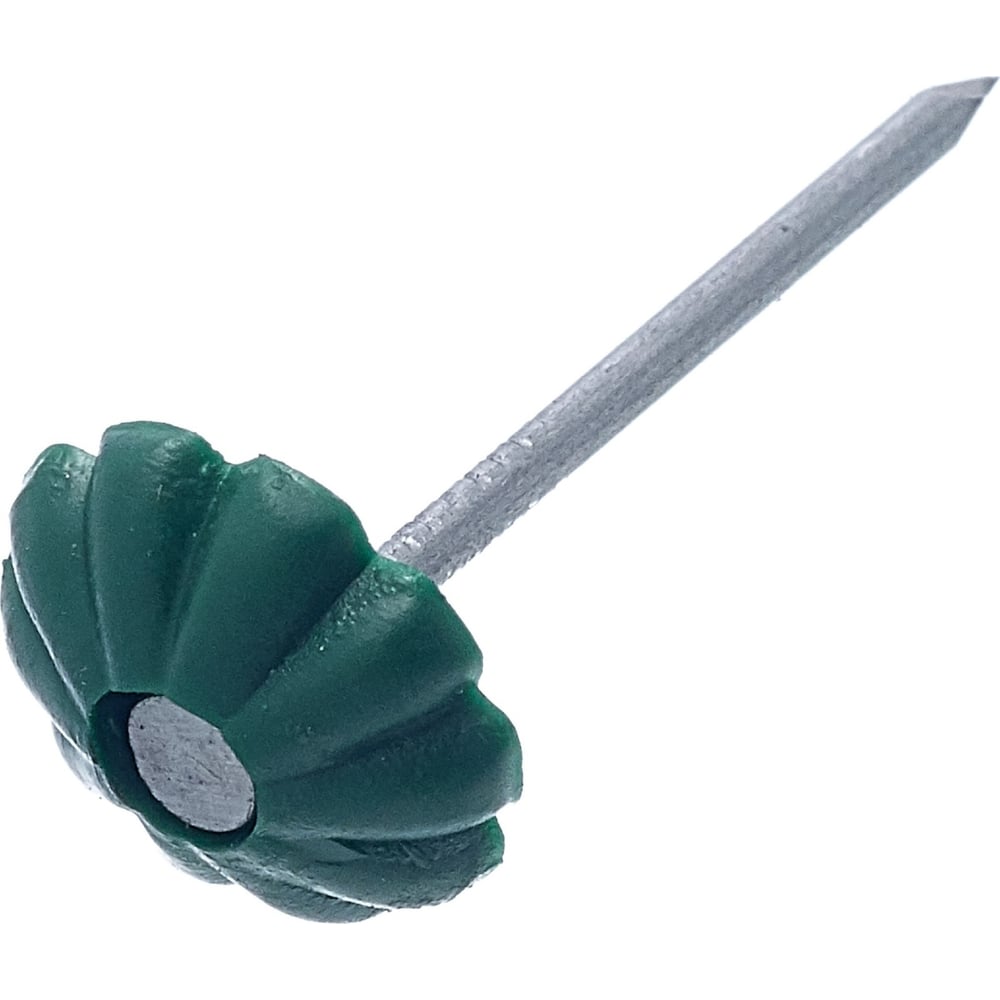 Изображение товара Гвозди Стройметиз 1,4x25 с зеленой декорной шляпкой, 50 шт