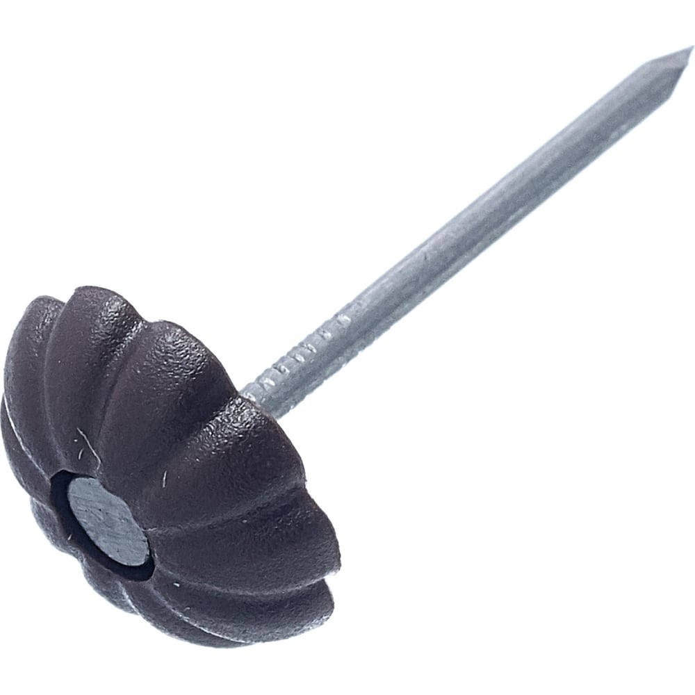 Изображение товара Гвозди Стройметиз 1,4x25 с декоративной шляпкой, 50 шт европодвес