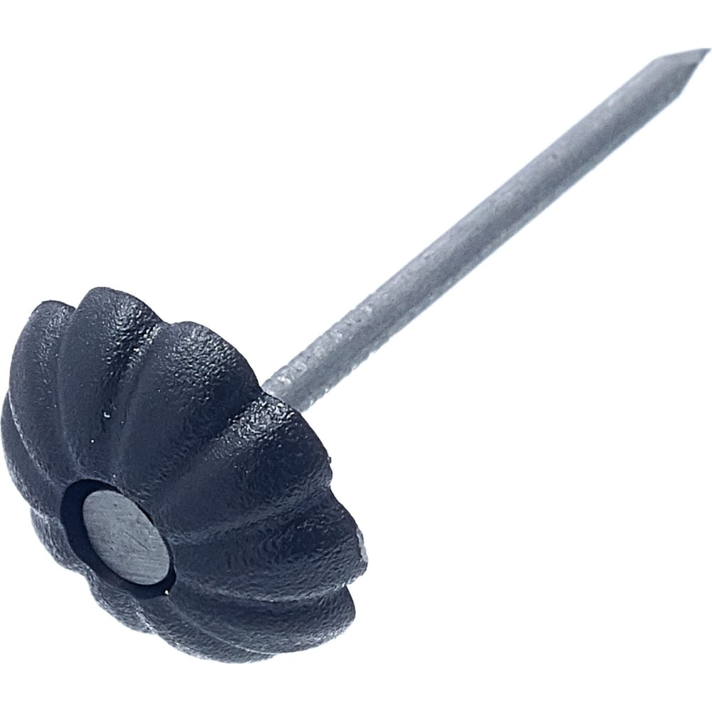 Изображение товара Стройметиз Гвозди 1,4x25 с декор.шляпкой черные 50 шт европодвес