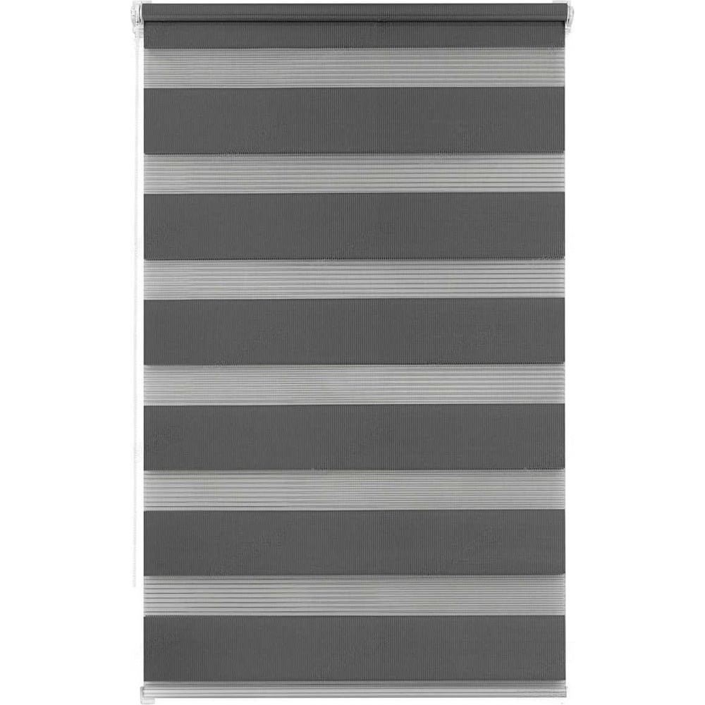 Изображение товара Рулонная штора LM DECOR День-Ночь LB 11-10 графитовая 110x160 см