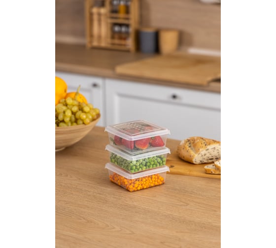 Изображение товара Комплект контейнеров для заморозки Idiland Asti квадратный 0.5л х 3 шт (бесцветный) 241108201/00