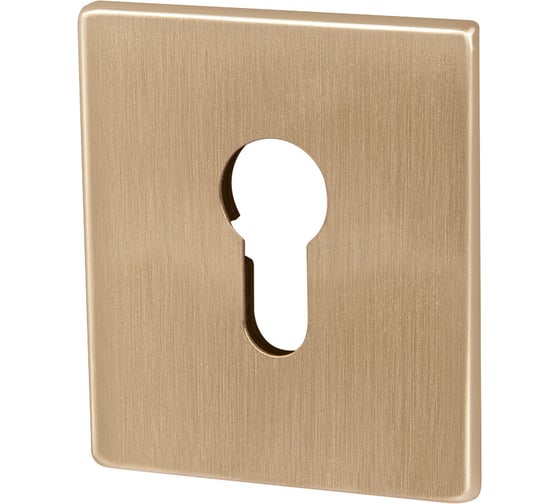 Изображение товара Накладка на цилиндр ARMADILLO ESC.C.USS/K (ET Protector/USS) FSG флорентийское золото 48133