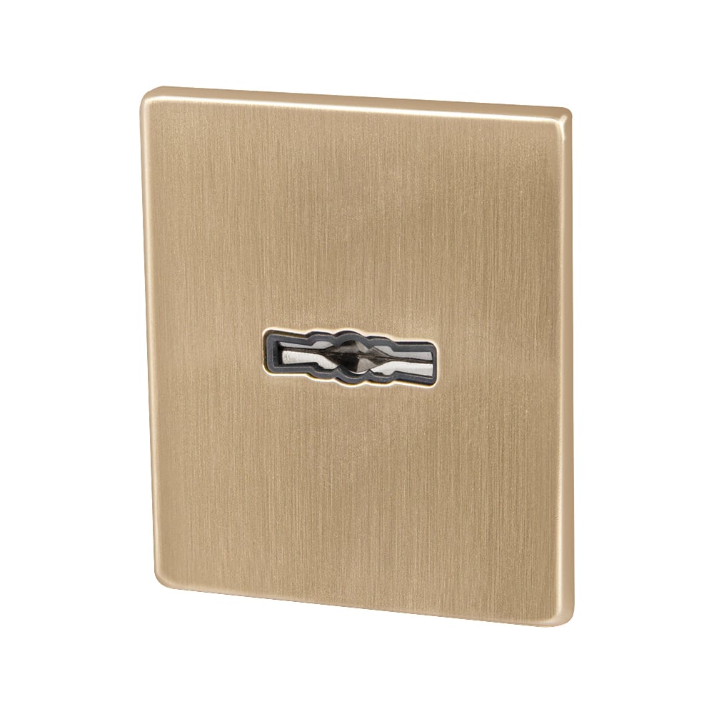 Изображение товара Накладка на сувальдный замок ARMADILLO ESC.S-auto.USS/K (PS Protector/USS) FSG флорентийское золото 48131