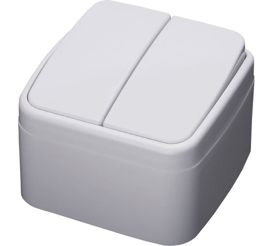 Изображение товара Двухклавишный выключатель STEKKER открытой установки 250В 10А, белый, серия Basic PSW10-42-20 39032