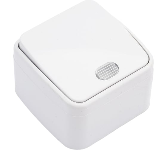 Изображение товара Одноклавишный выключатель STEKKER открытой установки, 250В 10А, с подсветкой Basic PSW10-31-20 39029