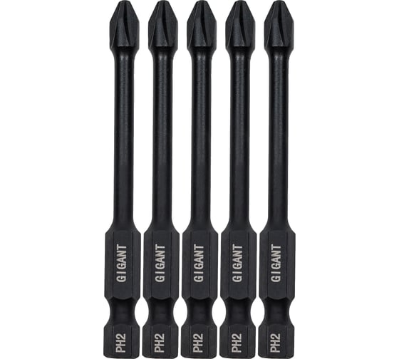 Изображение товара Торсионные биты PH2, 70 мм, 5 шт, S2 Gigant GBM TR5270
