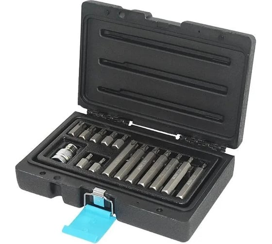 Изображение товара Набор бит TORX T20-T55, 10 мм, с держателем, 15 предметов 409615T AIST 00-00003982