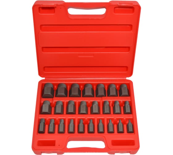 Изображение товара Набор экстракторов AIST 25 пр. 67310425 00-00005940