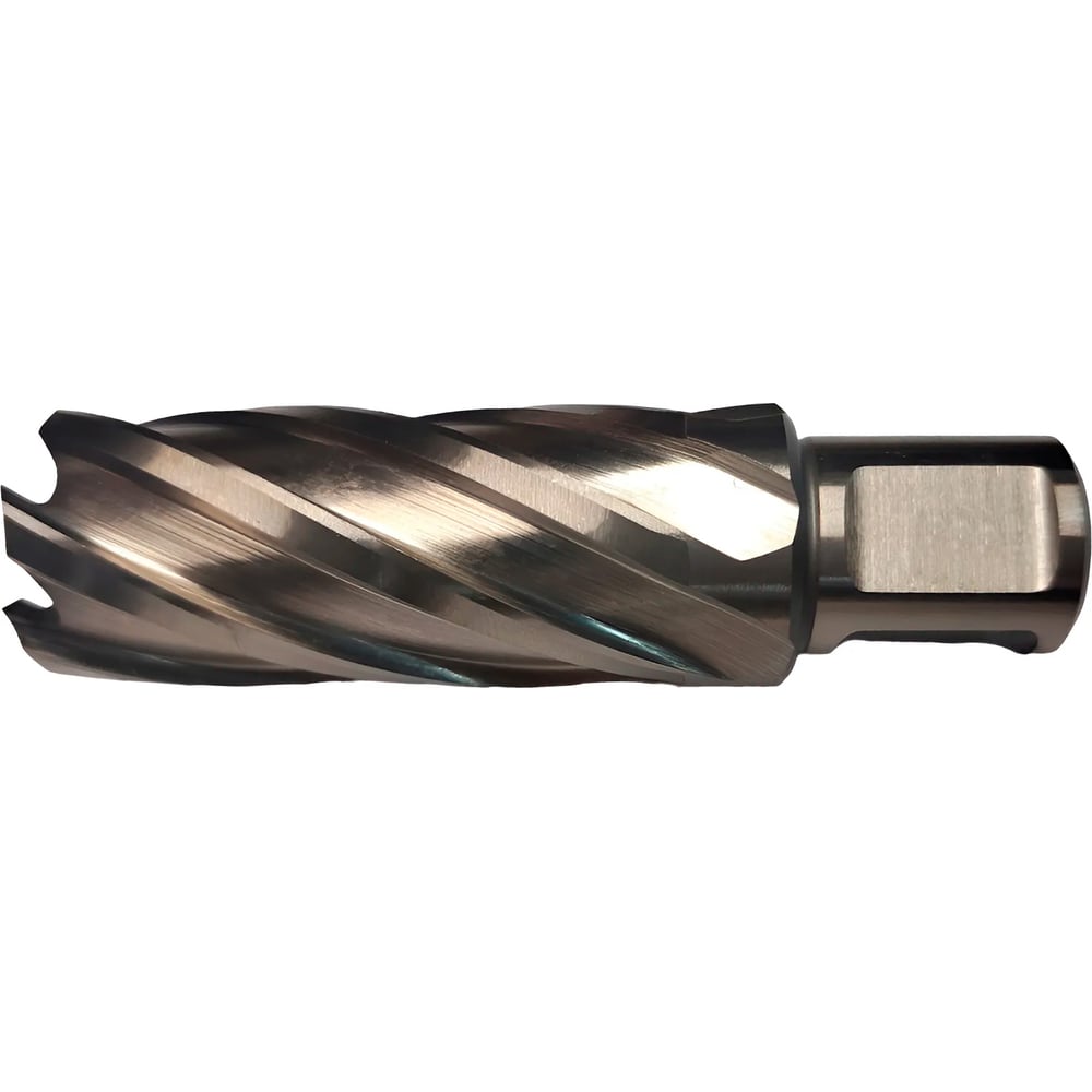 Изображение товара Кольцевое сверло EUROBOOR HSS Ø 25 мм WELDON 19 профессиональное