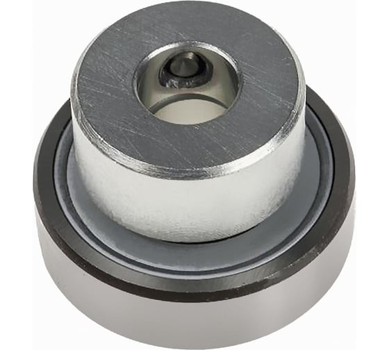 Изображение товара Подшипник NTI RAE 25 NPPB 00-00024052