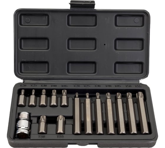 Изображение товара Набор бит (15 предметов; торкс Т 20-55) СЕРВИС КЛЮЧ 76445