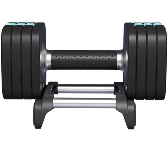 Изображение товара Гантель разборная быстросъемная PROIRON 10 кг ГБ1100Р