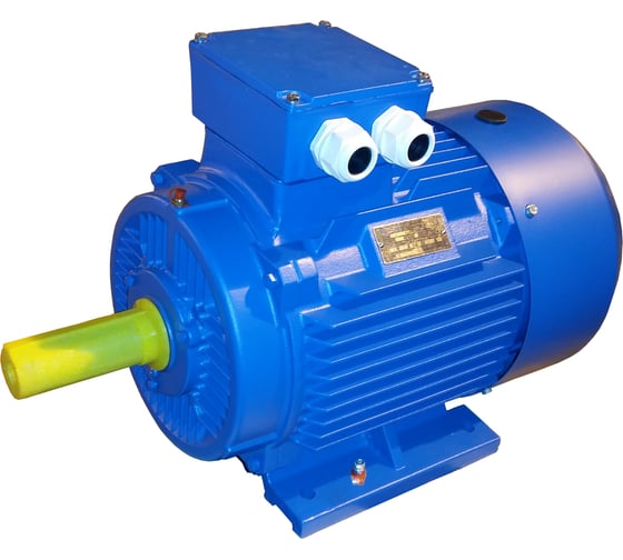 Изображение товара Электродвигатель ЭМШ 250М2У1 90кВт, 380/660В, IMB3 1081, IP55, 476кг Х0000019735