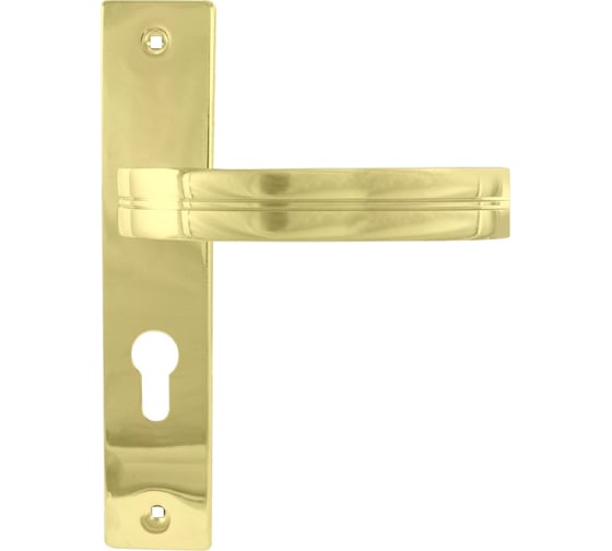 Изображение товара Дверная ручка на планке НОРА-М NEW 106-55 мм золото 16900