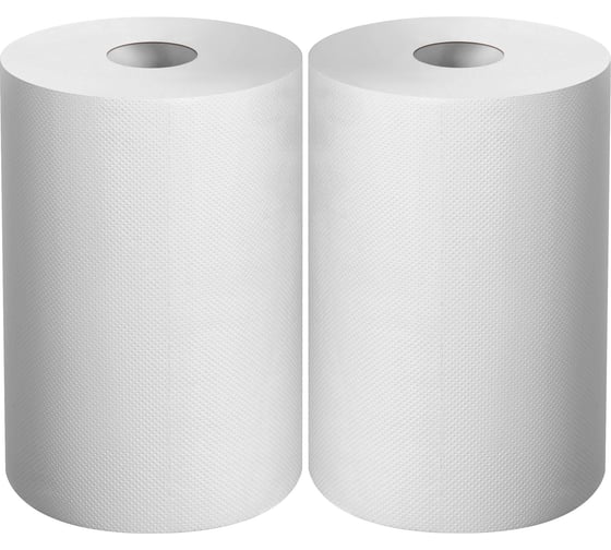 Изображение товара Протирочная бумага ЗУБР Профессионал 20x25 см, 2-х слойная, в рулоне, 400 листов, 2 рулона 12822-20