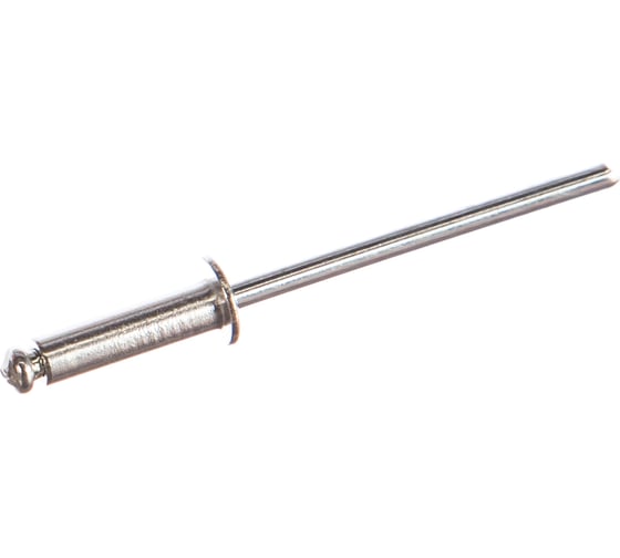 Изображение товара Заклепка вытяжная комбинированная (22 шт; 3.2х12 мм) SWFS тов-092762